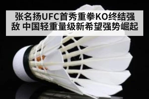 张名扬UFC首秀重拳KO终结强敌 中国轻重量级新希望强势崛起