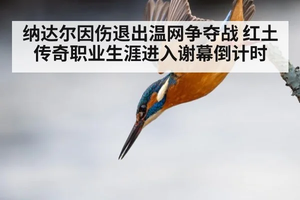 纳达尔因伤退出温网争夺战 红土传奇职业生涯进入谢幕倒计时